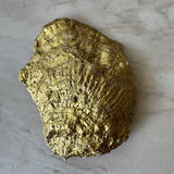 Hand-Painted Oyster Shell – Southern Kitchen Decor